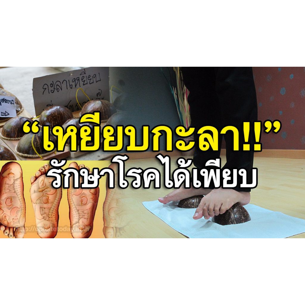 ที่นวดเท้าแบบกะลาคู่ เครื่องนวดเท้า ที่นวดฝ่าเท้า ที่นวดกดจุด คลายเส้น แก้ปวดเมื่อย ไม้นวดเท้าเพื่อสุขภาพ แท่นนวดฝ่าเท้า