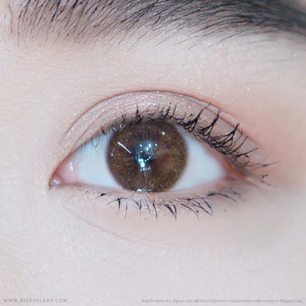 TS (Brown) ค่าสายตา 0.00-10.00 คอนแทคเลนส์