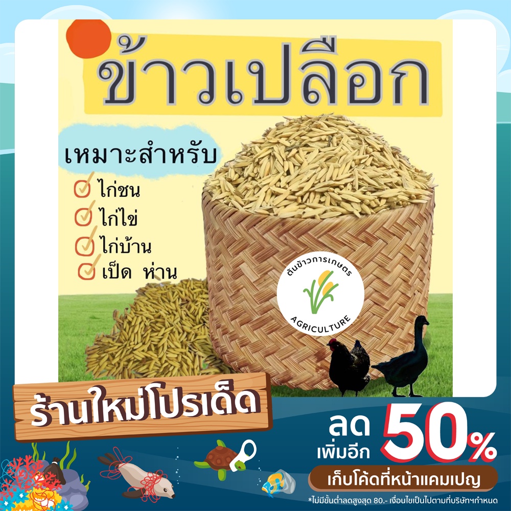 ข้าวเปลือกไก่ชน เหมาะสำหรับเลี้ยงสัตว์  ไก่ชน ห่าน เป็ด ไก่