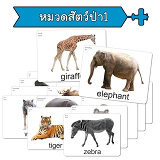 แฟลชการ์ด หมวดสัตว์ป่า1 บัตรคำ แนวการสอนเดียวกับ ชิจิดะ เฮกุรุ