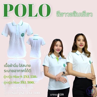 เสื้อโปโล สีขาวขลิบเขียว