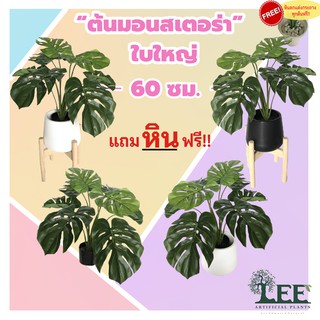 ต้นมอนสเตอร่าใบใหญ่ เสมือนจริง สูง 60 ซม. พร้อมกระถาง #ต้นไม้ปลอมตกแต่งบ้าน Leeartplants (L52)