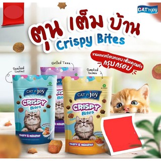 Catnjoy Crispy Bites all Flavor 60g แค็ทเอ็นจอย คริสปี้ไบทส์ ขนมสำหรับแมว