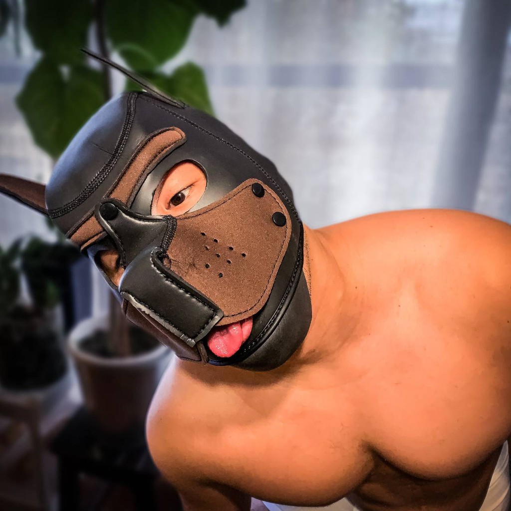 งานเกรดA ทรงสวย+เนื้อยางคุณภาพดี //ปาร์ตี้มาสก์ Pup Puppy เล่นสุนัขHoodMaskหน้ากากหมาLatex คอสเพลย์