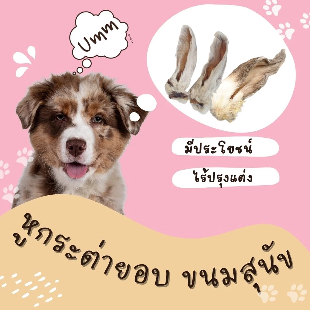 หูกระต่ายอบแห้ง (ขนาดทดลอง1 ชิ้น) ขนมหมาสุดฮิต umm (สำหรับสุนัขและแมว)
