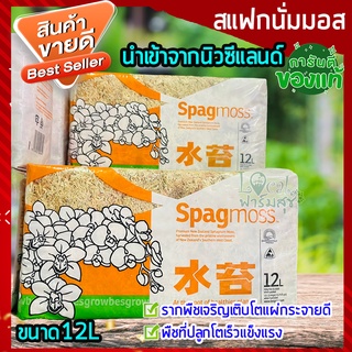 สแฟกนั่มมอส นำเข้าจากนิวซีแลนด์  12L 🍃(Sphagnum moss) สแฟกนั่มมอสคุณภาพดี เพิ่มความชื้นให้ต้นไม้ วัสดุ​ปลูก​ เพาะกล้า