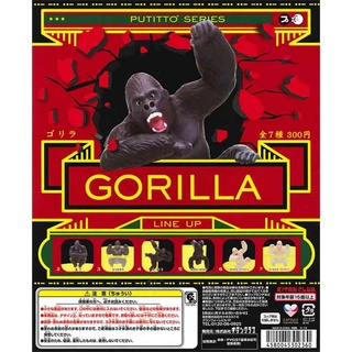 (Gachapon) Puttito Gorilla - กอลิล่าเกาะแก้ว PUTITTO ゴリラ