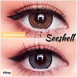 ✨Wink : Seeshell สายตาปกติ ถึง -7.50 ตาโต แบ๊ว eff 17