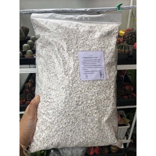 เพอร์ไลท์  (Perlite)