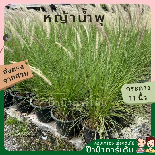 มุมมอง 2