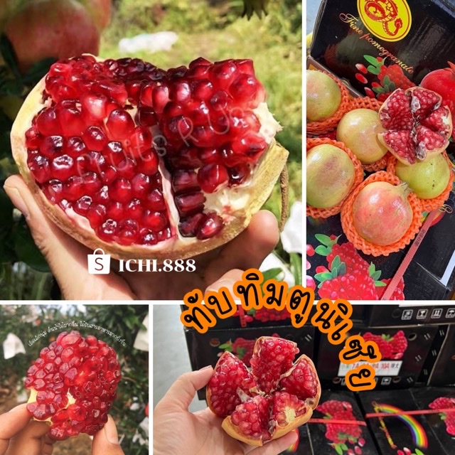 พร้อมส่ง!! ทับทิมตูนิเซีย หวาน น้ำเยอะ เมล็ดนุ่ม