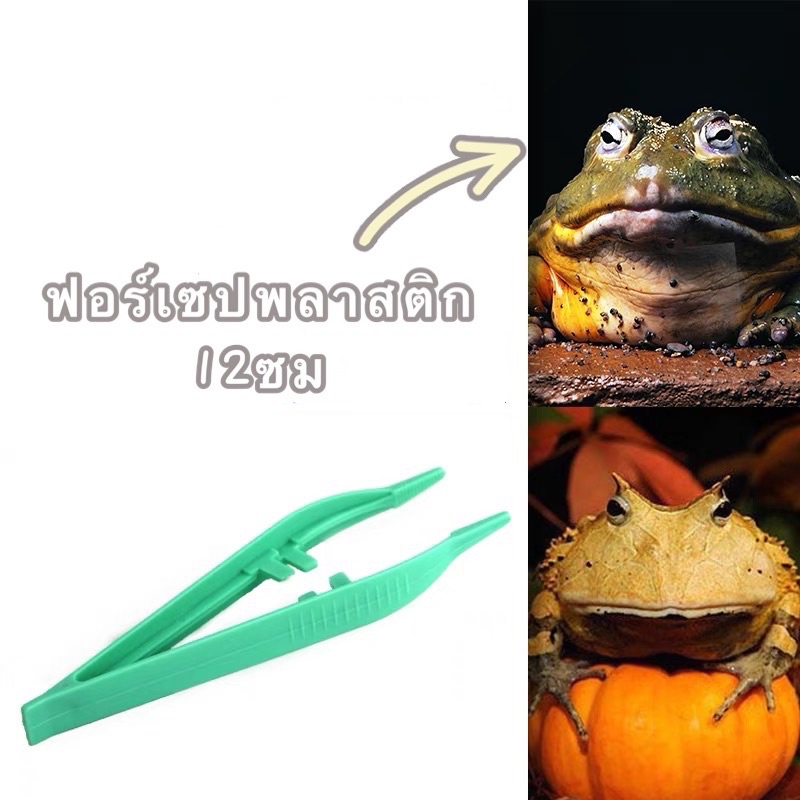 ฟอร์เซปพลาสติก 12ซม plastic forceps 12cm for pet feeding tool