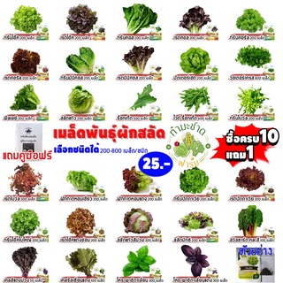 (ฟรีคู่มือ 10แถม1) ซอง 200-800เมล็ด เมล็ดพันธุ์ ผักสลัด ทำมะชาดฟาร์ม กรีนโอ๊ค เบบี้คอส สวิสชาร์ด ผักกาดหอม ไฮโดรโปรนิกส์