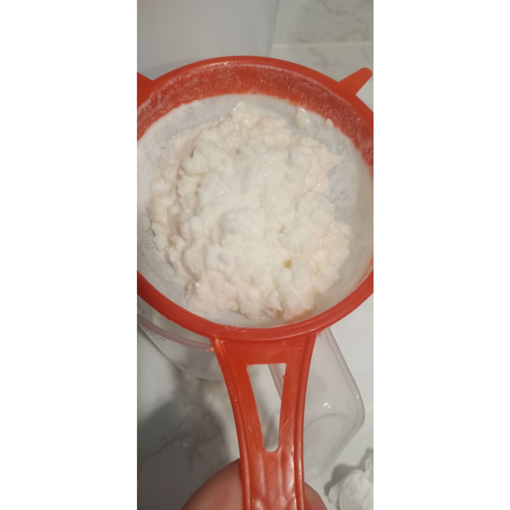 Kefir Grain พร้อมส่ง​ เกรนคีเฟอร์​นมพรีเมี่ยม​ ลดราคาพิเศษ