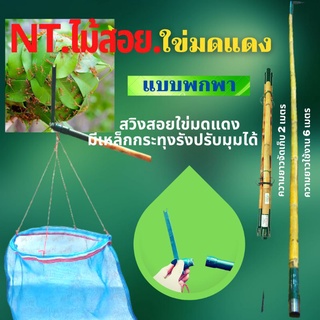 NT.ไม้สอย ใข่มดแดง เเพบบพกพา