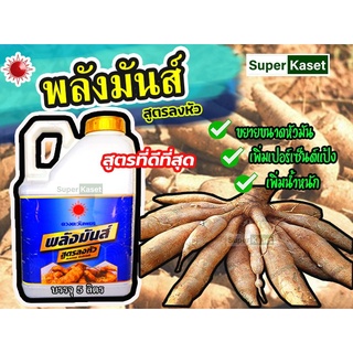 ฮอร์โมนสำหรับพืชลงหัว ขนาด 5 ลิตร "พลังมันส์" เร่งหัวใหญ่ สำหรับมันสำปะหลังและพืชช่วงลงหัว