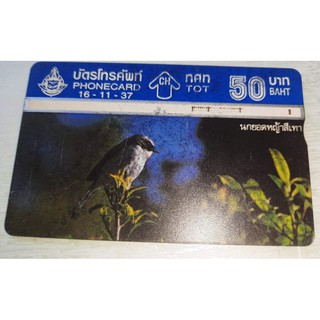 บัตรโทรศัพท์ Phone Card รูปนกปี 37