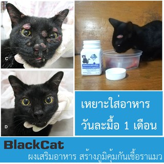 ผลิตภัณฑ์เสริมอาหารสร้างภูมิต้านเชื้อ Cryptococcus หรือเชื้อราแมว