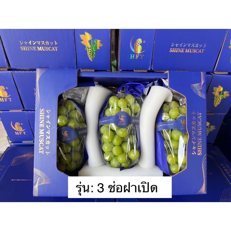 องุ่นไชมัสคัต ตรานกแก้ว HFT #3ช่อ ฝาเปิด