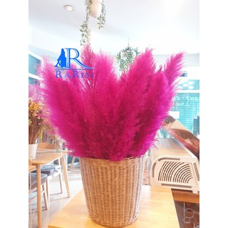 Rarin ดอกเลา (สีชมพู บานเย็น)( ขนาด 70-90 cm.)  ดอกรวมก้าน สีสดสวย เป็นดอกไม้ธรรมชาติ  ดอกฟุ้งฟิ้ง