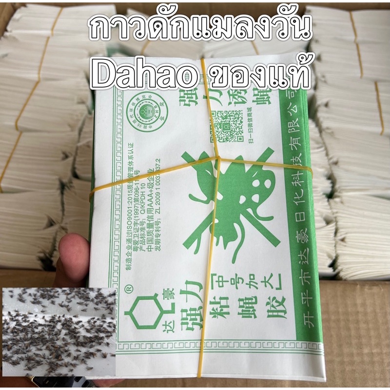 กาวดักแมลงวัน 1มัด 100แผ่น Dahaoแท้ พร้อมส่ง