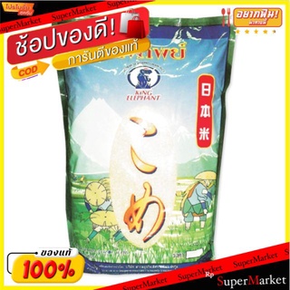 🔥แนะนำ🔥 ช้างทิพย์ ข้าวญี่ปุ่น ขนาด 5กิโลกรัม King Elephant Japanese Rice ข้าว, เส้นก๋วยเตี๋ยว, เส้นพาสต้า อาหาร อาหารและ