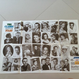 โปสเตอร์ The Classic Movie Stars