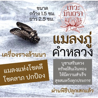 จี้แมลงภู่คำหลวง เครื่องรางล้านนาและพม่า รหัส NC-911 เสริมดวงการเงิน เครื่องรางค้าขาย เสริมดวงโชคลาภ สีรมดำ