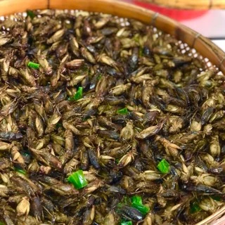 จิ้งโกร่งไข่ทอด (จิ้งหรีดขาว) แมลงทอดตามออเดอร์ สดใหม่ทุกวัน