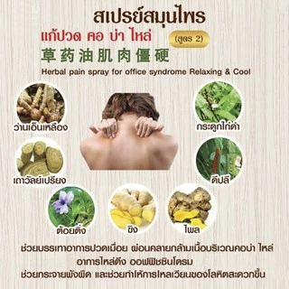 สเปรย์คอ บ่าไหล่ สมุนไพรแก้ปวดเมื่อย (สูตรเย็น 2) 100 ml (exp.07/29) กล้ามเนื้อตึง อาการไหล่ตึง ออฟฟิศซินโดรม ปวดเมื่อย