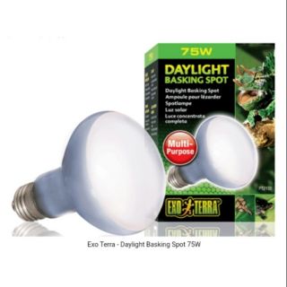 หลอดไฟ​ Exo Terra -Daylight Basking Spot Lamp 75W 

หลอด UVA เฉพาะจุด สำหรับกลางวัน 75วัตต์