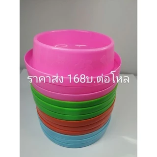 ชามกันมด ขนาดปากกว้าง 5 นิ้ว ไซร์ M​