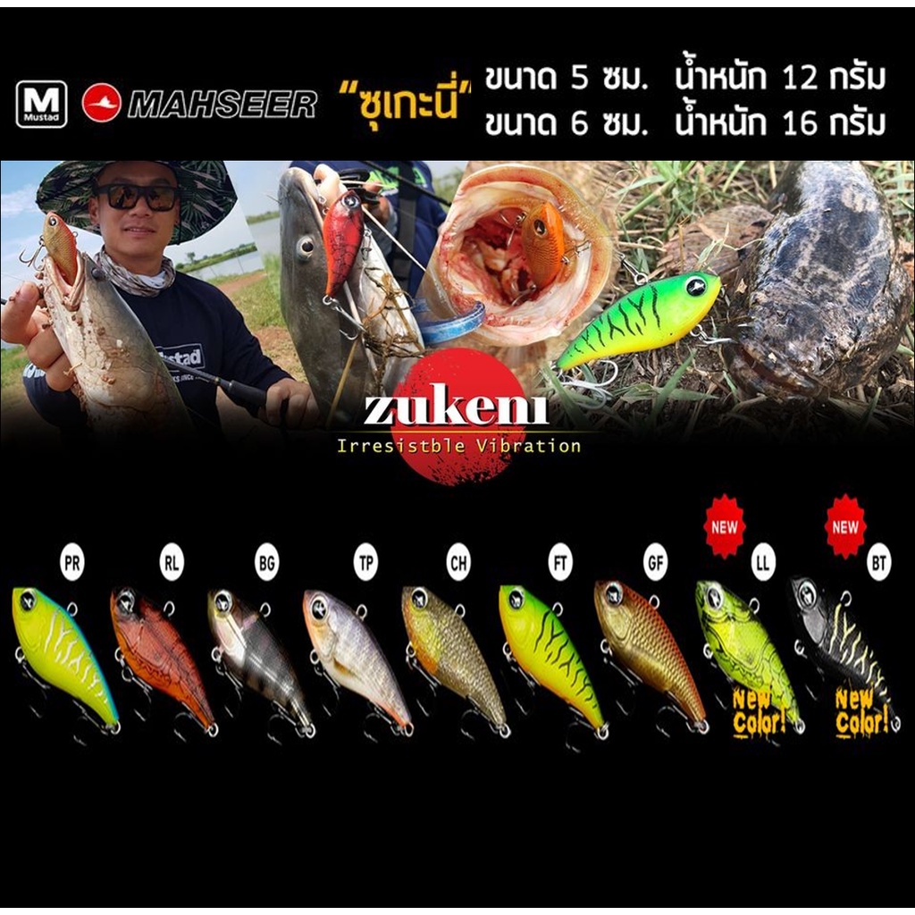 กระดี่ยางซูกินิ กระดี่ซูกินิ50 ZUKENI 50 MAHSEER