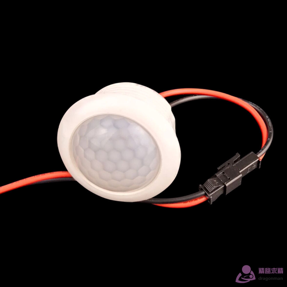 Dragon 220v 50hz Pir Ir Infrared Human Induction Lamp Switch