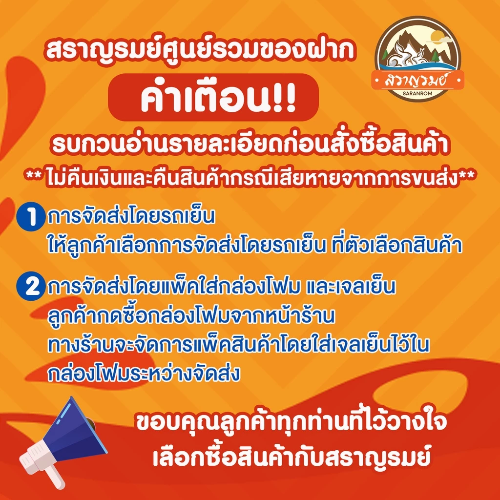 แหนมเนืองวีที 10ไม้ สดใหม่ จัดส่งไว thumbnail 9