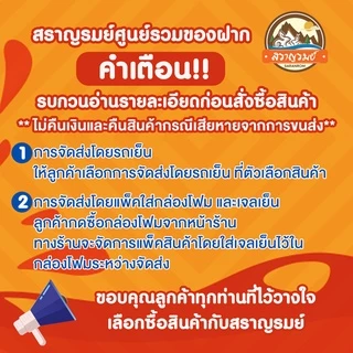 แหนมเนืองวีที 10ไม้ สดใหม่ จัดส่งไว