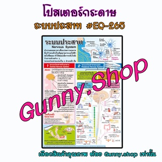 โปสเตอร์เรื่องระบบประสาท #EQ-265 โปสเตอร์กระดาษอาร์ตมัน สื่อการเรียนรู้ #gunny #gunny.shop