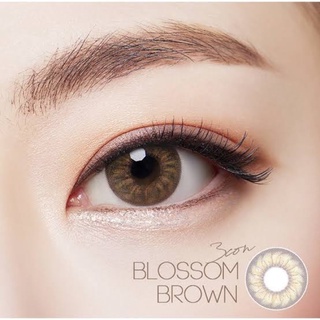 Kitty kawaii Blossom brown (14.5)