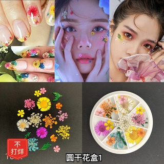 [48 hour delivery] Japanese Decal eye makeup patch diamond Sequin makeup face makeup dry flower patch Mori butterfly fac