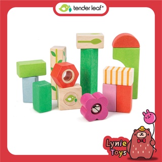 Tender Leaf Toys ของเล่นไม้ ของเล่นเด็ก ชุดบล็อกเนอร์สเซอรี่ Nursery Blocks