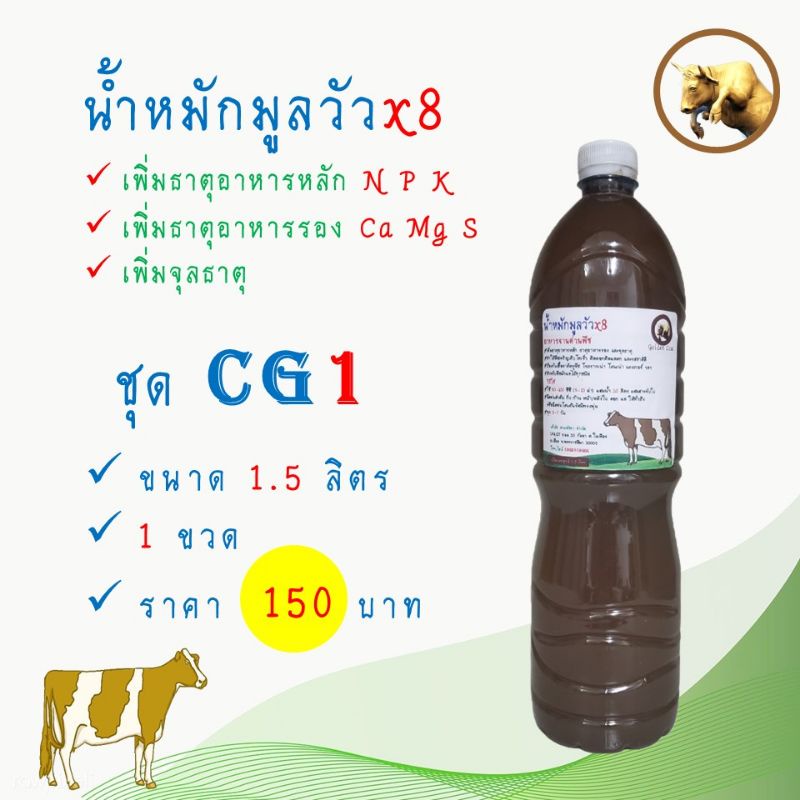 My Image 26