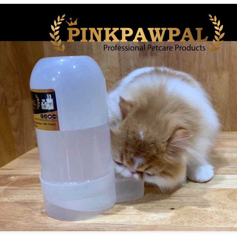 กระปุกน้ำสำหรับน้องแมวน้องหมา (แบบพิเศษไม่ทำให้คอเปียก, ลดคราบเหลืองที่คอ) Water Bowl For Cat & Dog(