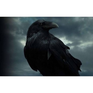 Three-eyed Raven .Game of Thrones มหาศึกชิงบัลลังก์ Miniature Replica HBO