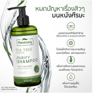 ฺBig SALE แชมพูลดผมร่วง Tea Tree Purify Shampoo 300 ml  แชมพูสูตรช่วยลดปัญหาสิวตามไรผม และหน้า แชมพูกลิ่นหอม