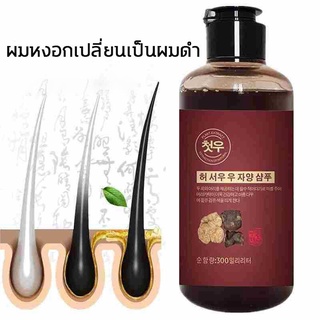 แชมพู Radix Polygoni Shampoo แชมพูปิดผมขาว ผมขาวเปลี่ยน​เป็นผมดำ แชมพูสมุนไพร แชมพูปิดหงอก แชมพูปิดผมขาว