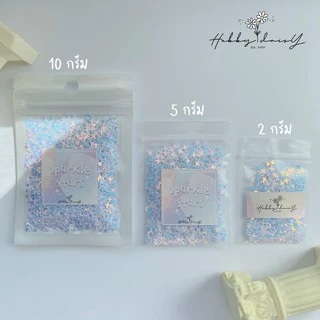 กลิตเตอร์โฮโลแกรม เลื่อมวิ้งๆ ดาว 4 แฉก Sparkle Star l กลิตเตอร์ตกแต่งเล็บ เรซิ่น DIY