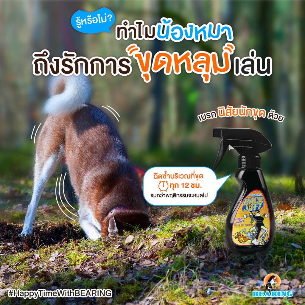 รูปภาพ 6