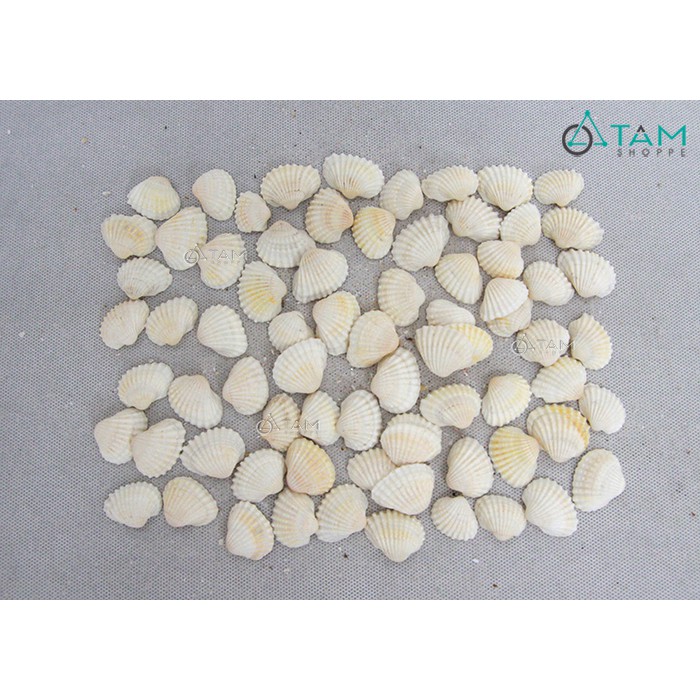 ถุง 200gr ของ Clamshells DK2-3cm VOSO-03