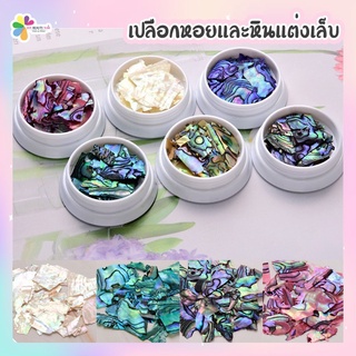 เปลือกหอยแต่งเล็บสีเข้ม เปลือกหอยติเล็บ สีเข้ม อะไหล่ติดเล็บ 1-6สี