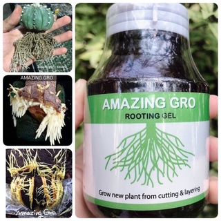 เร่งรากAmazing Gro เจล 60ml/150ml น้ำยาเร่งราก Rooting gel เร่งราก กิ่งตอนกิ่งปักชำ แคตตัส ไม้ด่าง กัญชา